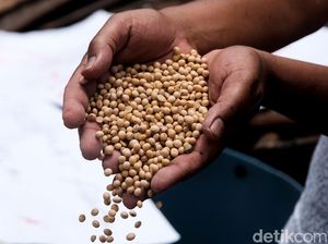 40.000 Perajin Tahu dan Tempe Bangkrut Gara-gara Harga Kedelai Melambung