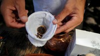 Selain bahan pokok gin seperti juniper dan jeruk, tumbuhan kering dari gajah yang berganti tergantung musim dan iklim, memberikan rasa yang berbeda untuk batch yang berbeda. REUTERS/Sumaya Hisham