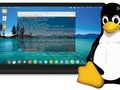 Pencipta Linux Pusing Kebanjiran Laporan Bug dari AI