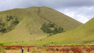 Kawah Wurung, Padang Rumput yang sedang Jadi Primadona di Bondowoso