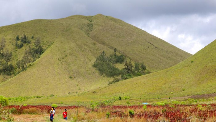 Wisatawan menikmati suasana padang savana perbukitan Kawah Wurung di Jampit, Ijen, Bondowoso, Jawa Timur, Minggu (20/2/2022). Kawah Wurung yang dalam bahasa Jawa memiliki arti kawah tidak jadi itu menjadi salah satu destinasi wisata alam unggulan di Kabupaten Bondowoso. ANTARA FOTO/Budi Candra Setya/hp.