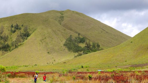 Wisatawan menikmati suasana padang savana perbukitan Kawah Wurung di Jampit, Ijen, Bondowoso, Jawa Timur, Minggu (20/2/2022). Kawah Wurung yang dalam bahasa Jawa memiliki arti kawah tidak jadi itu menjadi salah satu destinasi wisata alam unggulan di Kabupaten Bondowoso. ANTARA FOTO/Budi Candra Setya/hp.
