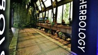 Pameran berfokus terutama pada dunia Harry Potter dalam film. Ya, film pertama Harry Potter ditayangkan pada bulan November 2001.
