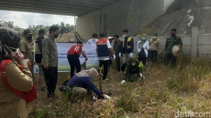 Petugas Tol Pekanbaru-Dumai memasang pohon pisang mencegah gajah masuk