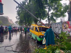 Pohon dan Lampu Jalan Tumbang di Wonokromo Surabaya Timpa Angkot-Mobil