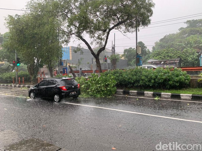 Seorang pengendara, Asmirandah, melaporkan banyaknya pohon tumbang di kawasan Banyuurip, Surabaya. Banyaknya pohon tumbang menyebabkan kemacetan.