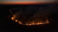 Melansir AP, kebakaran hutan yang melanda kawasan Corrientes, Argentina, telah menghanguskan lebih dari setengah juta hektar.