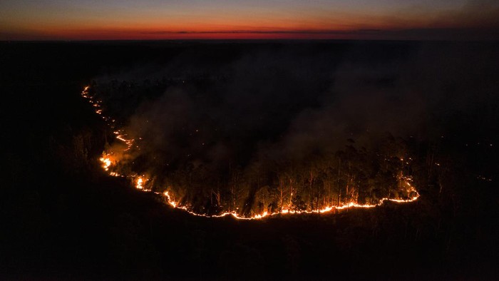 Potret Dahsyatnya Kebakaran Hutan yang Melanda Argentina Sekitar 800 ribu hektare lahan hangus dilalap si jago merah di kawasan Corrientes, Argentina. Sejumlah hewan pun dilaporkan mati akibat kebakaran hutan tersebut