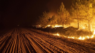 Potret Dahsyatnya Kebakaran Hutan yang Melanda Argentina