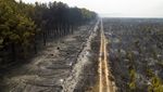 Potret Dahsyatnya Kebakaran Hutan yang Melanda Argentina