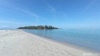 Pulau Pane berada di Desa Pananggahan, Kecamatan Barus, Kabupaten Tapanuli Tengah. (Bonauli/detikcom)