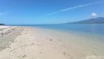 Si Putih, Pantai Pulau Pane