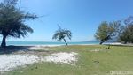 Si Putih, Pantai Pulau Pane