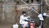 Seorang ahli restorasi melakukan pekerjaanya di situs arkeologi Pompeii, di Italia selatan, Selasa, (15/2/2022). Kota tersebut menjadi salah satu bukti era keemasan Romawi yang langsung lenyap dalam sehari akibat letusan gunung berapi pada tahun 79 masehi.