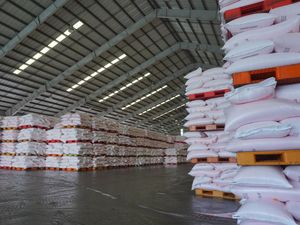 Butuh Terobosan Biar RI Nggak Ketergantungan Pupuk Subsidi
