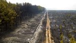 So Sad, Hutan di Argentina Jadi Tandus dan Gersang Akibat Kebakaran