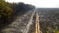 Diketahui, kebakaran hutan di Provinsi Corrientes, Argentina, ini terjadi di beberapa area, mulai dari kawasan hutan di dekat Ituzaingo hingga kawasan hutan di dekat La Cruz. Kebakaran di sejumlah area tersebut terjadi sejak beberapa hari yang lalu.