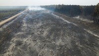 Dilaporkan sekitar 800 ribu hektare lahan hangus dilalap si jago merah saat kebakaran hutan melanda sejumlah area di Provinsi Corrientes, Argentina beberapa waktu terakhir.