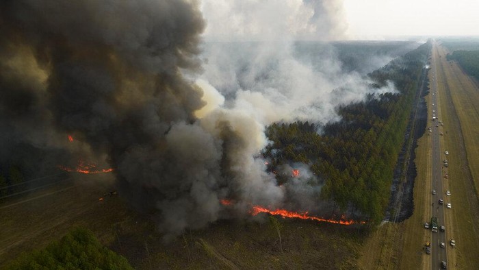 Trees smolder after a forest fire in Santa Tecla, Corrientes province, Argentina, Sunday, Feb. 20, 2022. Fires continue to ravage the Corrientes province that has burnt over half-a-million hectares. (AP Photo/Rodrigo Abd)