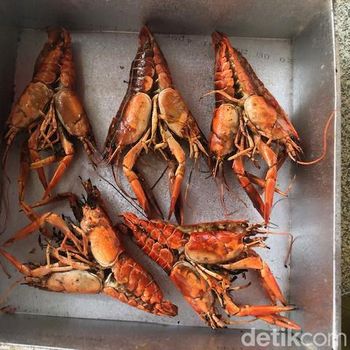 Lobster Air Tawar Panggang