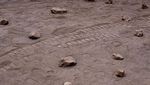 Robot Ini Bakal Cari Tanda Kehidupan di Mars, Lihat Uji Cobanya Yuks