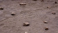 Amalia akan terbang ke Mars dalam ekspedisi Exomars pada 20 September 2022.