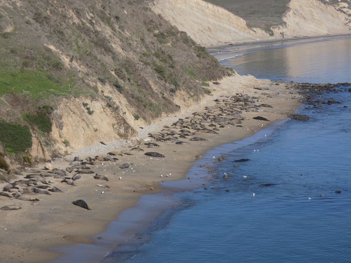 The Point Reyes National Seashore