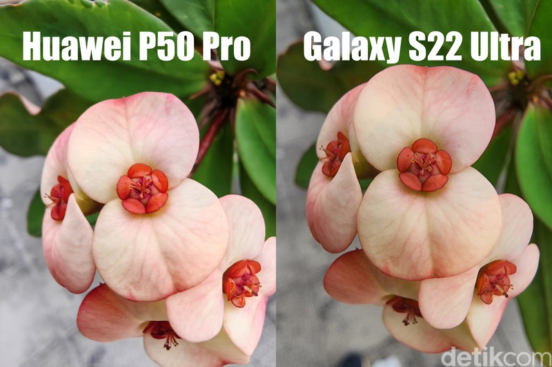 Uji kamera Galaxy S22 Ultra Vs Huawei P50 Pro