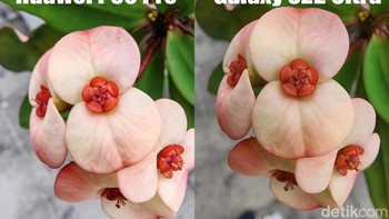 Inilah hasilnya, lebih suka mana?. Foto: Adi Fida Rahman/detikINET