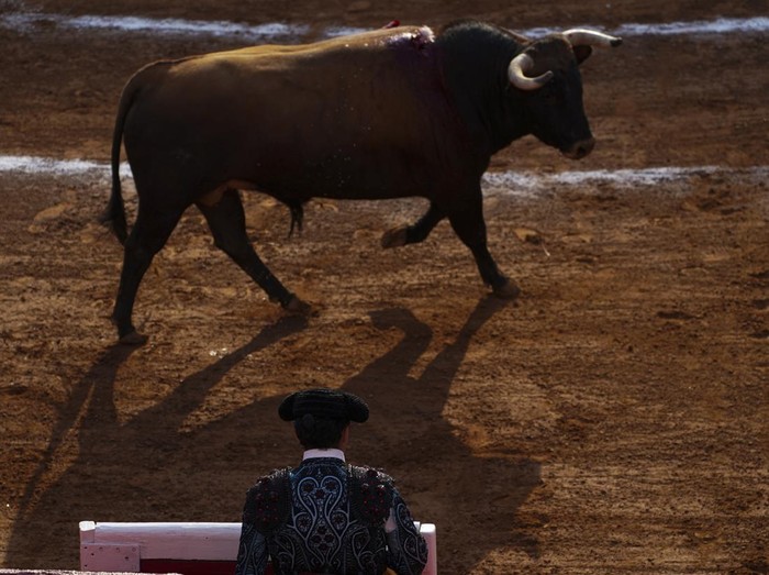 Selain Spanyol, atraksi adu banteng juga cukup populer di Meksiko. Meski banyak diminati oleh masyarakat, atraksi ini terancam tak digelar lagi di sana. Kenapa?