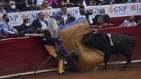 Sementara itu, rencana larangan adu banteng di Mexico City, yang dikenal sebagai tempat terbesar untuk acara tersebut dinilai akan menjadi kemunduran internasional untuk adu banteng.  