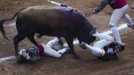 Aksi Matador Jatuh Bangun Taklukkan Banteng di Meksiko