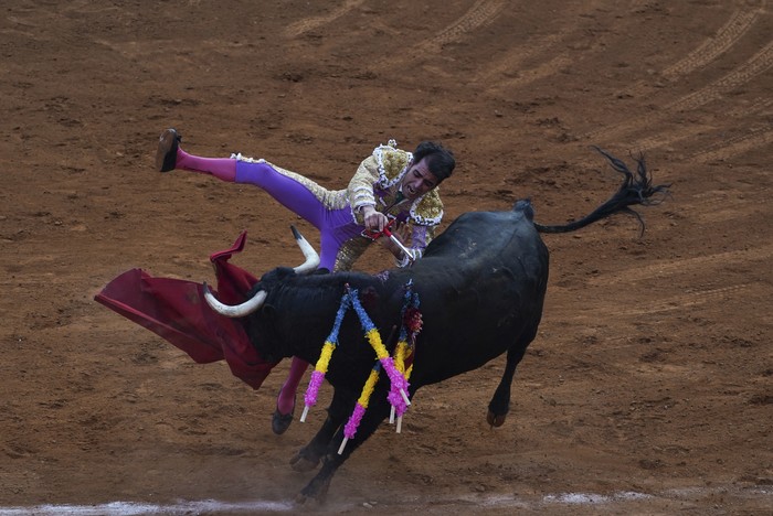 Selain Spanyol, atraksi adu banteng juga cukup populer di Meksiko. Meski banyak diminati oleh masyarakat, atraksi ini terancam tak digelar lagi di sana. Kenapa?