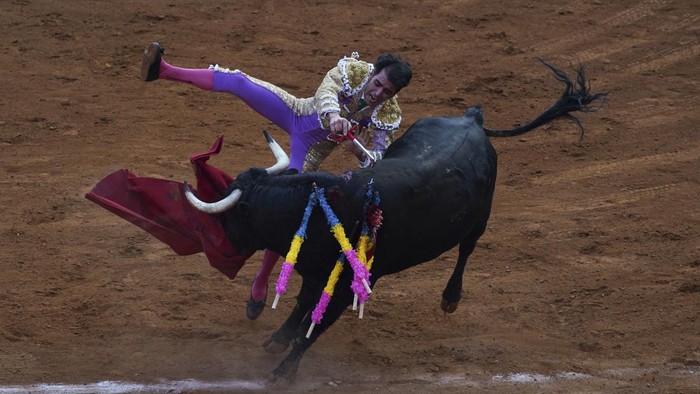 Selain Spanyol, atraksi adu banteng juga cukup populer di Meksiko. Meski banyak diminati oleh masyarakat, atraksi ini terancam tak digelar lagi di sana. Kenapa?