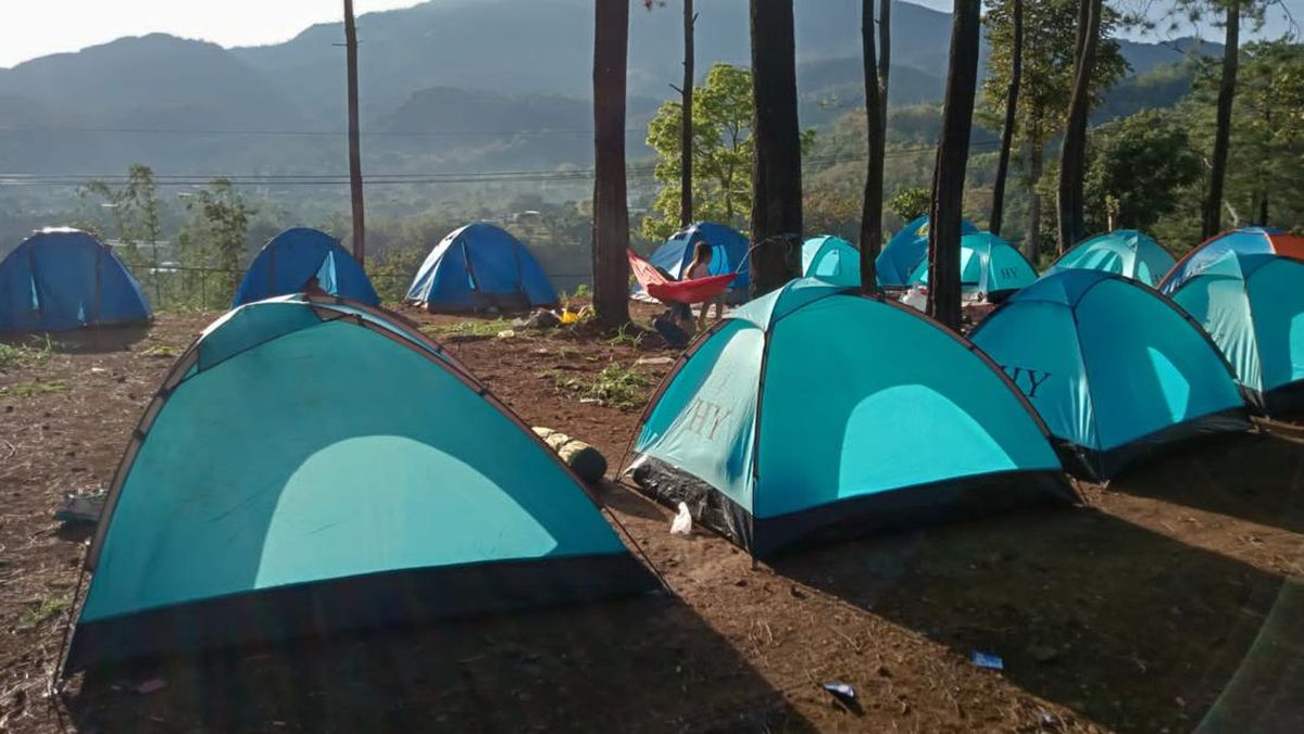 Sensasi Berkemah di Alas Pacet Saat Weekend, Pemandangan Hutan