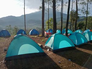 Sensasi Berkemah di Alas Pacet Saat Weekend, Pemandangan Hutan Pinusnya Juara!
