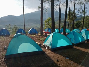 Sensasi Berkemah di Alas Pacet Saat Weekend, Pemandangan Hutan Pinusnya Juara!