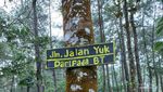 Curug Emas Bogor, Curug Indah nan Sepi yang Cocok Buat Healing