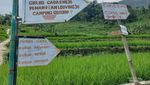 Curug Emas Bogor, Curug Indah nan Sepi yang Cocok Buat Healing