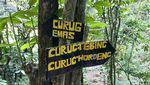 Curug Emas Bogor, Curug Indah nan Sepi yang Cocok Buat Healing