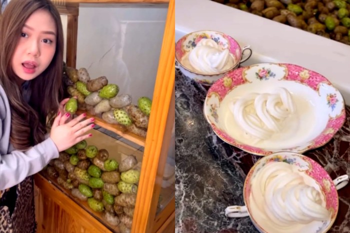 Sisca Kohl Bikin Es Krim Mengkudu yang Baunya Nyengat!