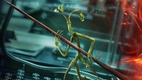 Ada juga Picket si Bowtruckle. (Foto: dok. WarnerBros.)