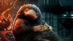 Lihat 18 Poster Karakter Fantastic Beasts: The Secrets of Dumbledore