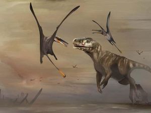 Seram Banget! Spesies Pterosaurus yang Baru Diidentifikasi Ini Punya Sayap Raksasa