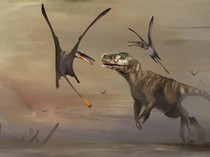 Seram Banget! Spesies Pterosaurus yang Baru Diidentifikasi Ini Punya Sayap Raksasa