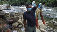 Bangkai gajah itu ditemukan masih dalam keadaan utuh dengan gading namun mulai membusuk. Bangkai gajah itu ditemukan masih dalam keadaan utuh dengan gading namun mulai membusuk.