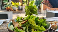 Salah sayur yang segar dibuat dari tanaman organik. Lebih mahal dari salah pada umumnya namun lebih sehat karena ditanam tanpa pestisida.