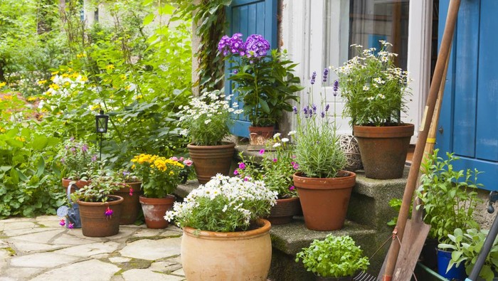 patio with flowers and flower pots