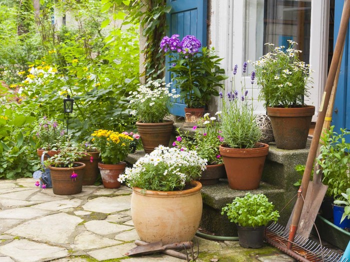patio with flowers and flower pots