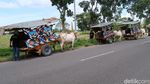Sensasi Wisata Keliling Desa Naik Gerobak Sapi di Bantul